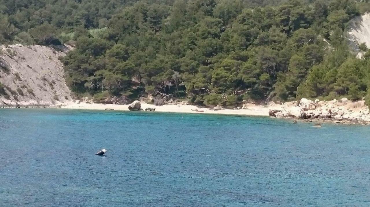致敬铎别墅公寓 米欧纳 外观 照片